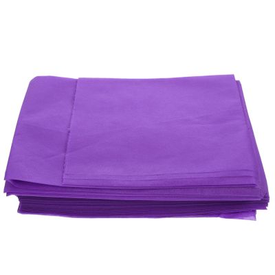 FRCOLOR 10pcs Disposable Non-woven Bed Sheets for Beauty Salons Spa Massage Tables Breathable Lightweight Skin-friendly for Hotels Hospitals and Travel