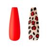 Gold Finger Full Cover False Nails Kit with Glue, Trendy Design, Ready to Wear Gel, Medium, Long, Extra Long Length Nails (Eureka) view 3