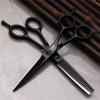 5.5 inch Hair Cutting Scissors Shears Kit, Professional Hair Scissors, Extremely Sharp Blades, Salon Razor Edge Scissor, Japanese 440C Stainless Steel, for Men Women view 1