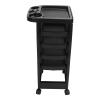Milltrip Salon Trolley Cart, Salon Trolley Cart Professional Multi Layer Removable Hair Salon Stations for Barber Shop view 2
