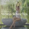 Westin White Tea Round Soap - Nourishing Bars of Soap with Signature White Tea Aloe Scent - Individually Wrapped Bars (Round - 20 Pack) view 3