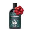 Ballsy Give-A-Sack Charcoal Body Wash for Men - 16 Oz with Pump, Mint & Mandarin - Moisturizing Men's Bodywash with Coconut Oil view 1