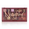 NauGHTY SANIYE 18 SHADES PALETTE MAKEUP PROFESSIONAL EXCELLENT IGMENTATION view 2