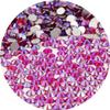 NCB Nancybeads 1500pcs Flatback Round Glass Nail Art Rhinestones Crystal for DIY Making Accessories Shoes, Clothes, Face Art, Bags, Manicure (Siam AB, SS20 1500pcs) view 1