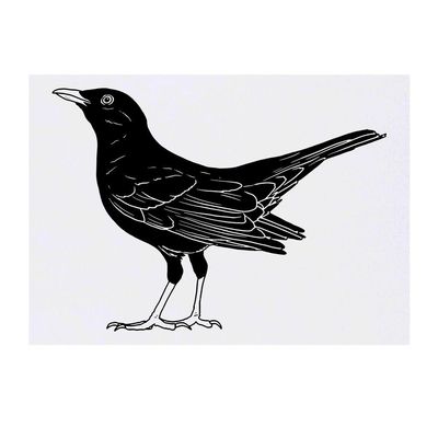 Azeeda 'Blackbird' Temporary Tattoo - Water Resistant, Skin-Safe, Non-Toxic Transfer (TO00050782)