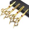 6 inch /7 inch salon professional salon scissors salon hairdresser hair cutting hairstyle pruning tools Japan 440c high hardness stainless steel golden (6 inch 4pcs) view 1