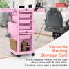 TASALON Professional Salon Trolley Cart, Lockable 6 Trays & 2 Holders, Space Saving Mobile Storage for Hair Salon and Beauty Station - Pink view 3