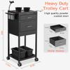 TASALON Salon Trolley Cart with Wheels, 2 Magnetic Bowls & Drawers | Mobile Hair Stylist Station for Tools Storage, Rolling Organizer Cart for Barber & Tattoo Supplies - Balck view 2