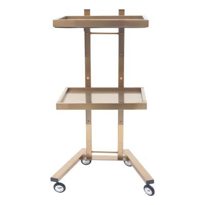 Salon Tray on Wheels, Rolling Tool Trolley Cart with 2 Tiers Storage Tray, Stainless Steel Salon Stand Rolling Tray Mobile Beauty Trolley Cart Instrument Tray Stand for Salon Beauty Shop (Gold)