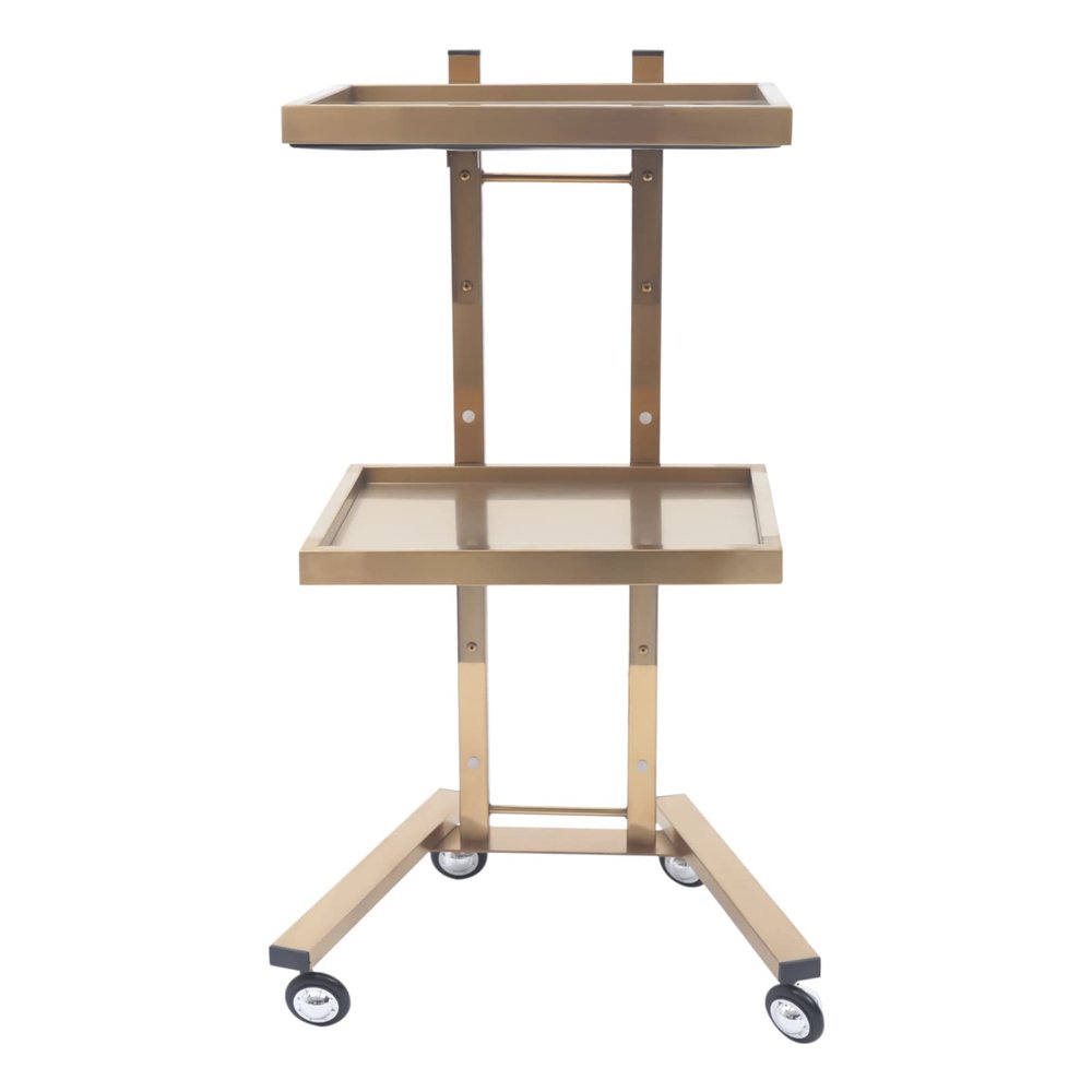 Salon Tray on Wheels, Rolling Tool Trolley Cart with 2 Tiers Storage Tray, Stainless Steel Salon Stand Rolling Tray Mobile Beauty Trolley Cart Instrument Tray Stand for Salon Beauty Shop (Gold)