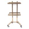 Salon Tray on Wheels, Rolling Tool Trolley Cart with 2 Tiers Storage Tray, Stainless Steel Salon Stand Rolling Tray Mobile Beauty Trolley Cart Instrument Tray Stand for Salon Beauty Shop (Gold) view 1