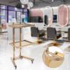 Salon Tray on Wheels, Rolling Tool Trolley Cart with 2 Tiers Storage Tray, Stainless Steel Salon Stand Rolling Tray Mobile Beauty Trolley Cart Instrument Tray Stand for Salon Beauty Shop (Gold) view 3