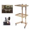Salon Tray on Wheels, Rolling Tool Trolley Cart with 2 Tiers Storage Tray, Stainless Steel Salon Stand Rolling Tray Mobile Beauty Trolley Cart Instrument Tray Stand for Salon Beauty Shop (Gold) view 4