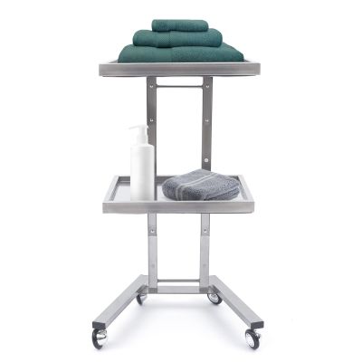 Salon Tray on Wheels, Rolling Tool Trolley Cart with 2 Tiers Storage Tray, Stainless Steel Salon Stand Rolling Tray Mobile Beauty Trolley Cart Instrument Tray Stand for Salon Beauty Shop (Silver)