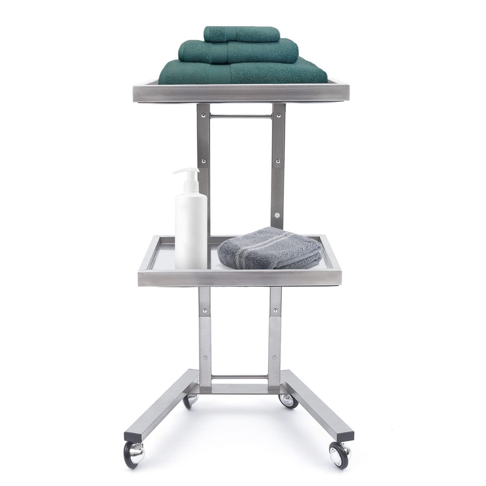 Salon Tray on Wheels, Rolling Tool Trolley Cart with 2 Tiers Storage Tray, Stainless Steel Salon Stand Rolling Tray Mobile Beauty Trolley Cart Instrument Tray Stand for Salon Beauty Shop (Silver)