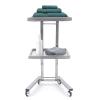 Salon Tray on Wheels, Rolling Tool Trolley Cart with 2 Tiers Storage Tray, Stainless Steel Salon Stand Rolling Tray Mobile Beauty Trolley Cart Instrument Tray Stand for Salon Beauty Shop (Silver) view 1