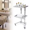 Salon Tray on Wheels, Rolling Tool Trolley Cart with 2 Tiers Storage Tray, Stainless Steel Salon Stand Rolling Tray Mobile Beauty Trolley Cart Instrument Tray Stand for Salon Beauty Shop (Silver) view 4