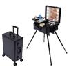 BJTDLLX Rolling Cosmetic Organizer w/locks, 22" Makeup Train Case with Mirror & LED Lamp, Professional Rolling Makeup Train Case Cosmetic Trolley Makeup Storage Organizer Cosmetic Organizer Box -Black view 1