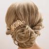 Aimimier Flower Crystal Hair Comb Decorative Rhinestone Gem Side Combs Long Teeth Hair Pins Updo Hair Accessories for Bride and Bridesmaid(Champagne) view 1