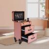 LENJKYYO Rolling Makeup Case, Professional Makeup Trolley with Wheels, Manicure Storage Organizer, Traveling Trunk with Drawer for Studio/Esthetician/Manicurist Barber/Cosmetologist view 2