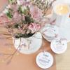 Dove Body Love Rich Nourishment Cream, Face, Hand & Body Lotion for Extremely Dry Skin, Fast-Absorbing 72-Hour Moisturizing Cream with Ceramide Serum, 5.07 Fl Oz (Pack of 6) view 3