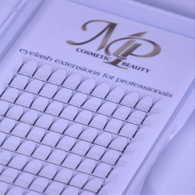 4D eyelash extensions fans 0.07 C curl 10-16mm (11mm)