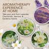 Shower Steamers Aromatherapy - Birthday Gifts for Women and Men - Shower Bombs Aromatherapy, Spa Day Essentials, Relaxation Spa Gifts - Self Care Stocking Stuffers (Lavender 8 Count) view 4