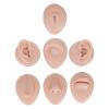 Body Piercing Model 6Pcs Simulation Silicone Body Part Piercing Practice Kit, Ear Eye Nose Mouth Tongue and Belly Button Model for Novice Piercer, Soft Model Body Part Displays Set view 3