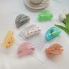 Cherry Hair Clips,Cellulose Acetate Hair Clips,Small Claw Clips for Girl,Hair Accessories,Pack of 2 view 4