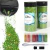 Craft Glitter, 380g Nail Glitter Powder 10 Jars Glitter with Tools,AARDWO Vibrant Multi-Purpose Glitter for Body,Eyeshadow,Cosmetic,Nail Arts,Crafts,Decoration,DIY(Star&Moon Shape, Green) view 1