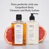C.O. Bigelow Hand Wash, Grapefruit No.1527 - Village Perfumer Moisturizing Hand Wash for Bathroom & Kitchen with Aloe Vera, 10 fl oz, Pack of 2 view 3
