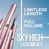 Garnier SkinActive Micellar Water + Maybelline Lash Sensational Sky High Washable Mascara Blackest Black Bundle view 2