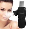 Facial Skin Cleanser with Mister, Upgraded Sprayer, Blackhead Extractor for Deep Cleansing and Moisturizing Spray view 1