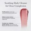 Arencia Rosehip Brightening Rice Mochi Face Cleanser & Daily Scrub - Moisturizing, Exfoliating & Deep-Cleansing - All Skin Types with Rice Powder & Rice Water (4.23oz) view 4