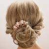 Aimimier Butterfly Rhinestone Hair Side Combs Crystal Inlaid Styling Hair Accessories Wedding Hair Clips Pins Party Hair Jewelry for Women and Girls(Champagne) view 1