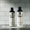 Dandymen Clarifying Shampoo & Conditioner Tea Tree Oil 11.83 oz Duo view 4