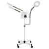 Professional Facial Steamer 3 in 1 Steamer for Face with Hot & Cold Nozzle 5X LED Magnifying Lamp Facial Steamer for Esthetician Beauty Face Equipment Use at Home or Salon view 1