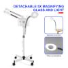 Professional Facial Steamer 3 in 1 Steamer for Face with Hot & Cold Nozzle 5X LED Magnifying Lamp Facial Steamer for Esthetician Beauty Face Equipment Use at Home or Salon view 4