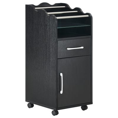 BarberPub Salon Cart with Storage Drawer Cabinet Rolling Salon Cart for Hair Stylist Barber Trolley with Wheels Beauty Organizer 2013 (Black)