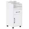 BarberPub Salon Cart with Storage Drawer Cabinet Rolling Salon Cart for Hair Stylist Barber Trolley with Wheels Beauty Organizer 2013 (White) view 1