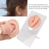 3 Pair Soft Silicone Ear Model with Acrylic Bracket, Reusable Waterproof Piercings Practice Tools for Beauty Salon, 3 Colors Human Ear Model for Piercing Practice Earring Display view 4