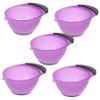 BIUDECO 5pcs Purple Hair Dye Bowl Set Pp Abs Material Mixing Bowls for Hair Salon view 1