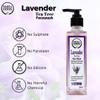 Sage & Herbs Natural Anti Acne Face Wash with Lavender & Tea Tree | Reduces Acne, Pimples & Open Pores | Lavender Face Wash | Tea Tree Face Wash (200 ML) view 4