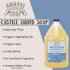 Adams Handmade Soap Thick Organic Castile Liquid Hand Soap 1 Gallon Refill - Peppermint view 3