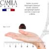 Camila Paris CP3479 French Hair Clip for Women, Set of 2 Small Tortoise Shell Girls Hair Claw Clips Fashion Durable Hair Accessories for Women, Ladies Strong Hold No Slip Grip Clamp, Made in France view 3
