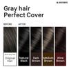 Hair Dye Powder Mix with only Water, 32 Herbal Ingredients for Healthy and Shinny Hair. (Natural Black Refill) view 2