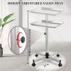 Niuadage Salon Tray, Salon Color Tray with Adjustable Height, Salon Tray on Wheels, Salon Rolling Tray Ideal Use As Tattoo Tray, Medical Tray, Dental TraySilver view 3
