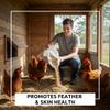 Worlds Best Chicken Dust Bath  Natural Wood Ash, Sand & Fine Dust Blend  Safe for All Chickens (12 Ounces) view 4