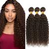 Brown Bundle Chocolate #4 Color Dark Brown Curly Bundles Human Hair Unprocessed Brazilian Virgin Hair 14 16 18 Inch Chocolate Bundles Human Hair view 1