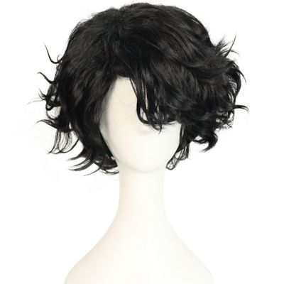 HUNIGIR Black Wig for Men Short Fluffy Curly Black Wig Male Heat Resistant Synthetic Hair